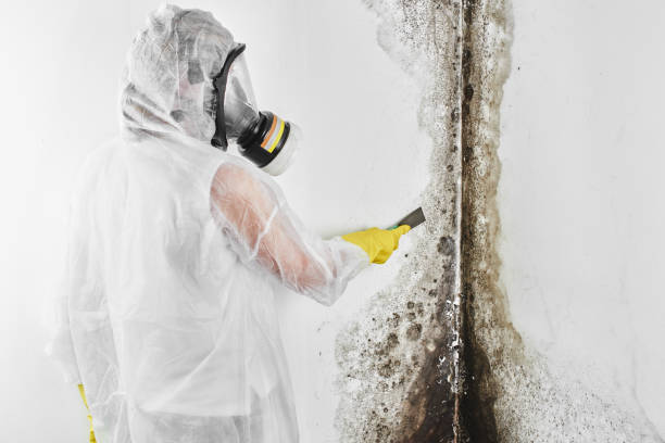 Best Mold Testing  in Sallisaw, OK