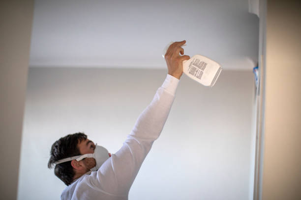Trusted Sallisaw, OK Mold Removal Experts