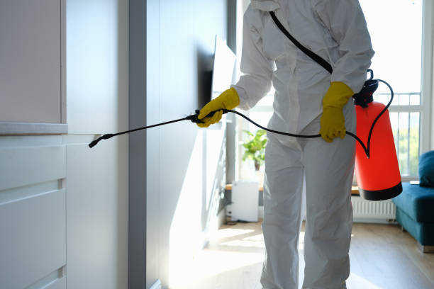  Sallisaw, OK Mold Removal Pros