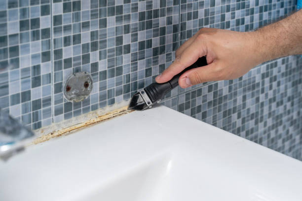 Best Attic Mold Removal  in Sallisaw, OK
