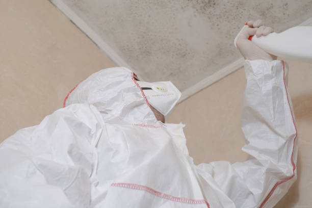 Best Professional Mold Removal  in Sallisaw, OK