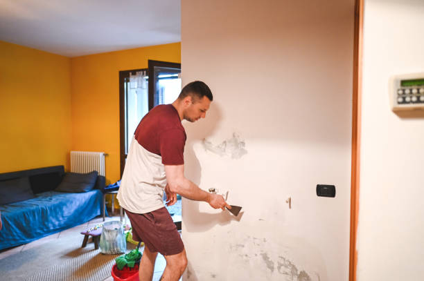 Best Best Mold Removal Companies  in Sallisaw, OK