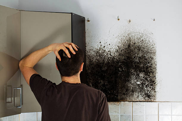Best Mold Cleaning Services  in Sallisaw, OK